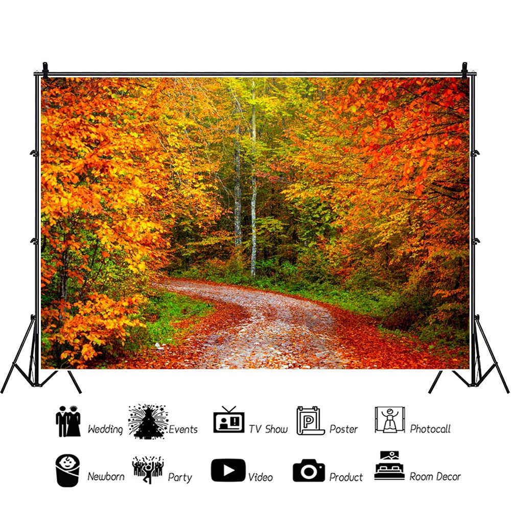 Amazon | Qinunipoto 背景布 秋の自然風景 紅葉 2.7x1.8m 写真撮影用